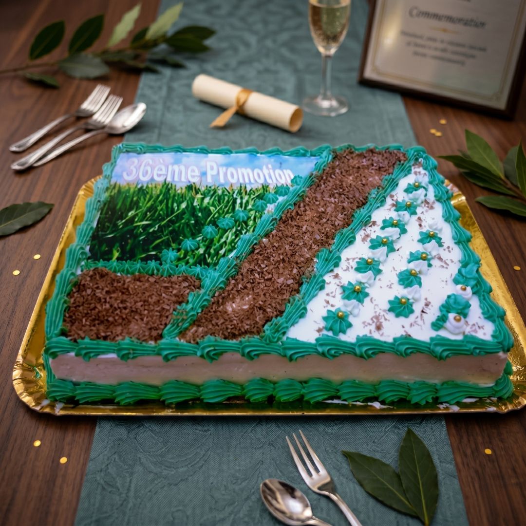 Gâteau pour événement professionnel